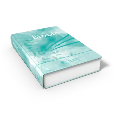 Italien, Bible NR2006 modèle rigide illustré bleu Tiffany
