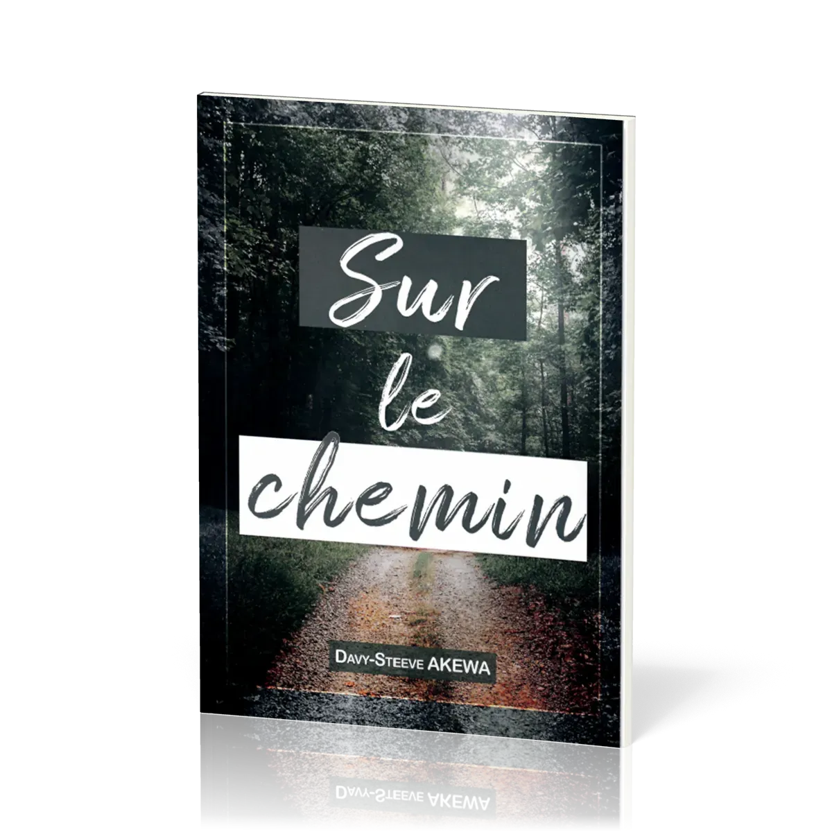 Sur le chemin