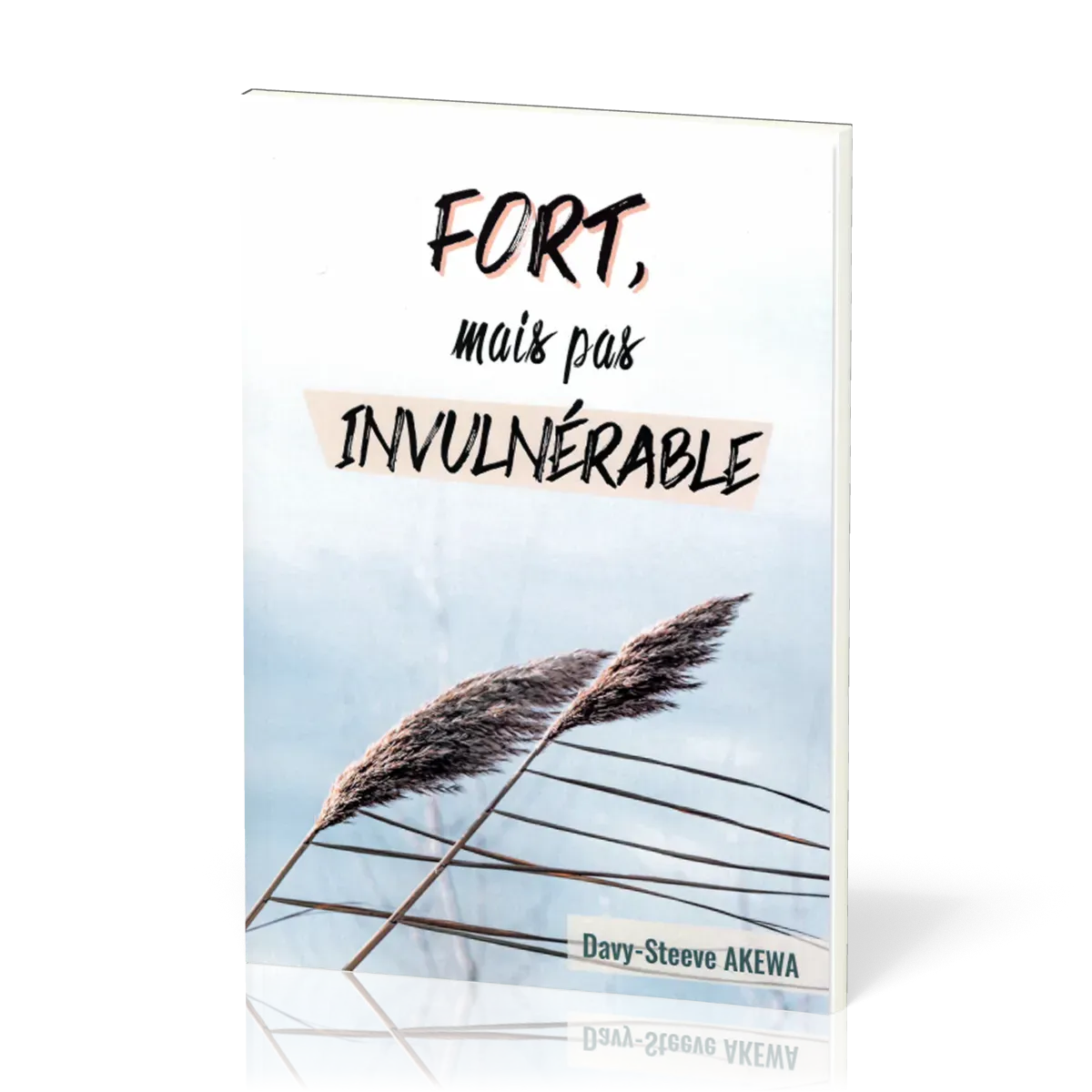 Fort, mais pas invulnérable
