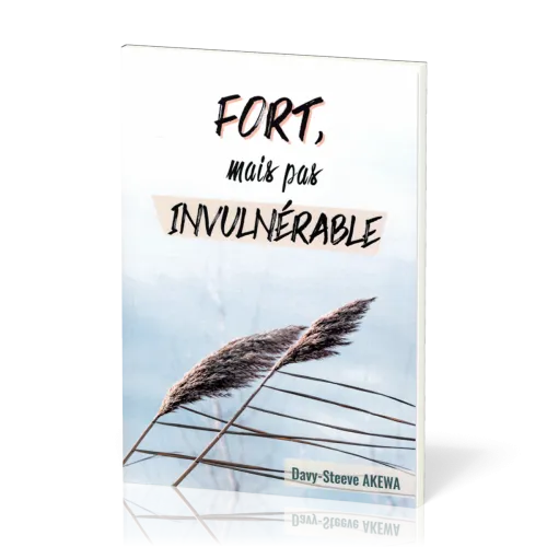 Fort, mais pas invulnérable