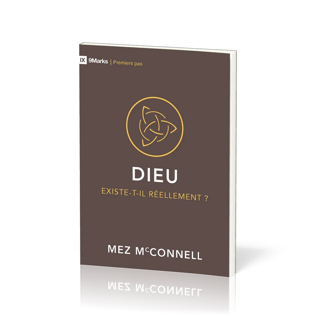 Dieu exsiste-t-il réellement? - (9Marks:Premiers pas)