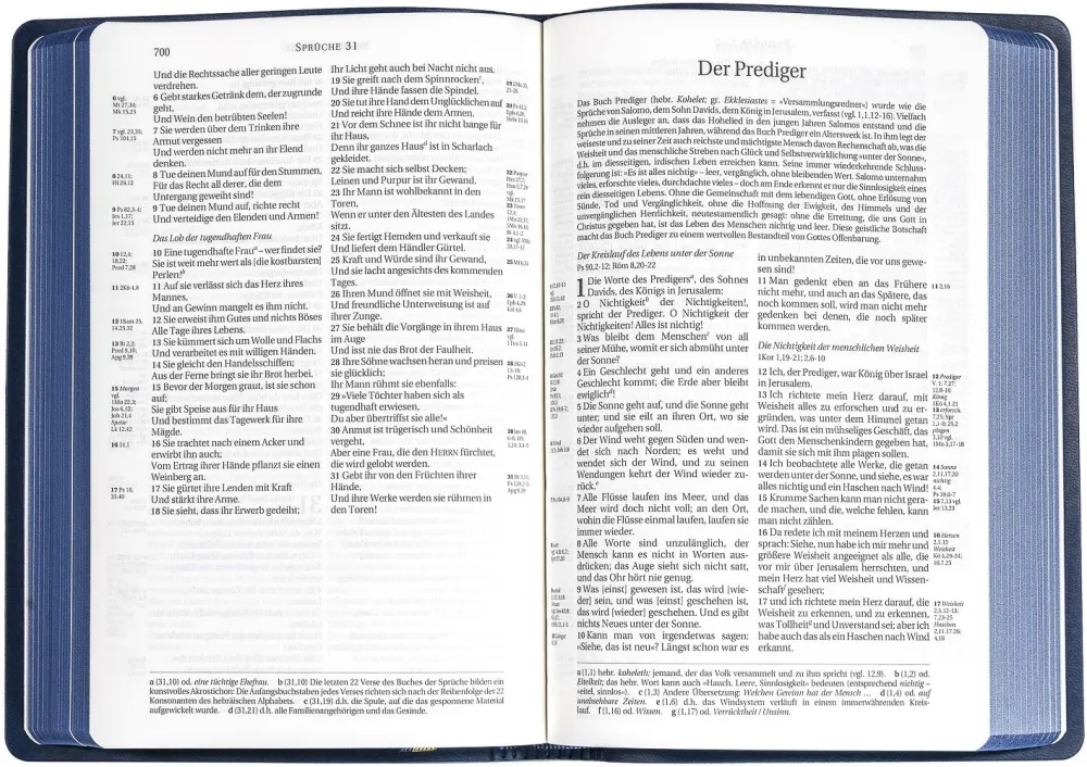 Allemand - Bible Schlachter 2000 avec parallèle souple grise