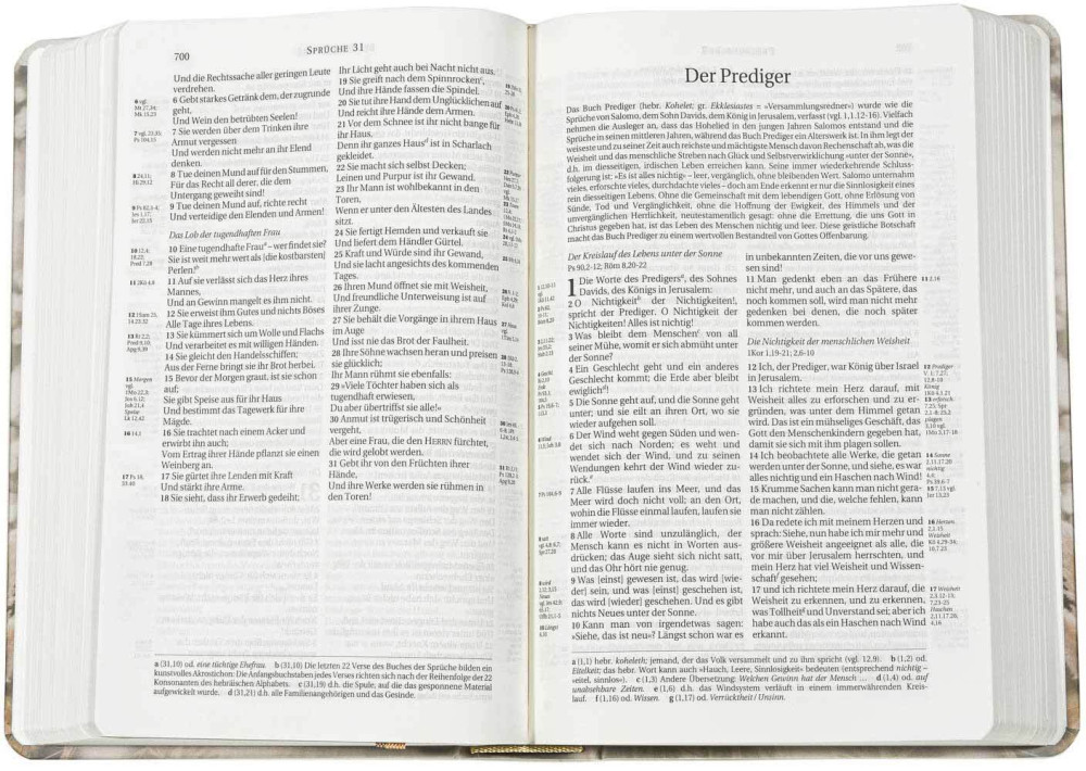 Allemand - Bible Schlachter avec parralèle rigide motif roseau