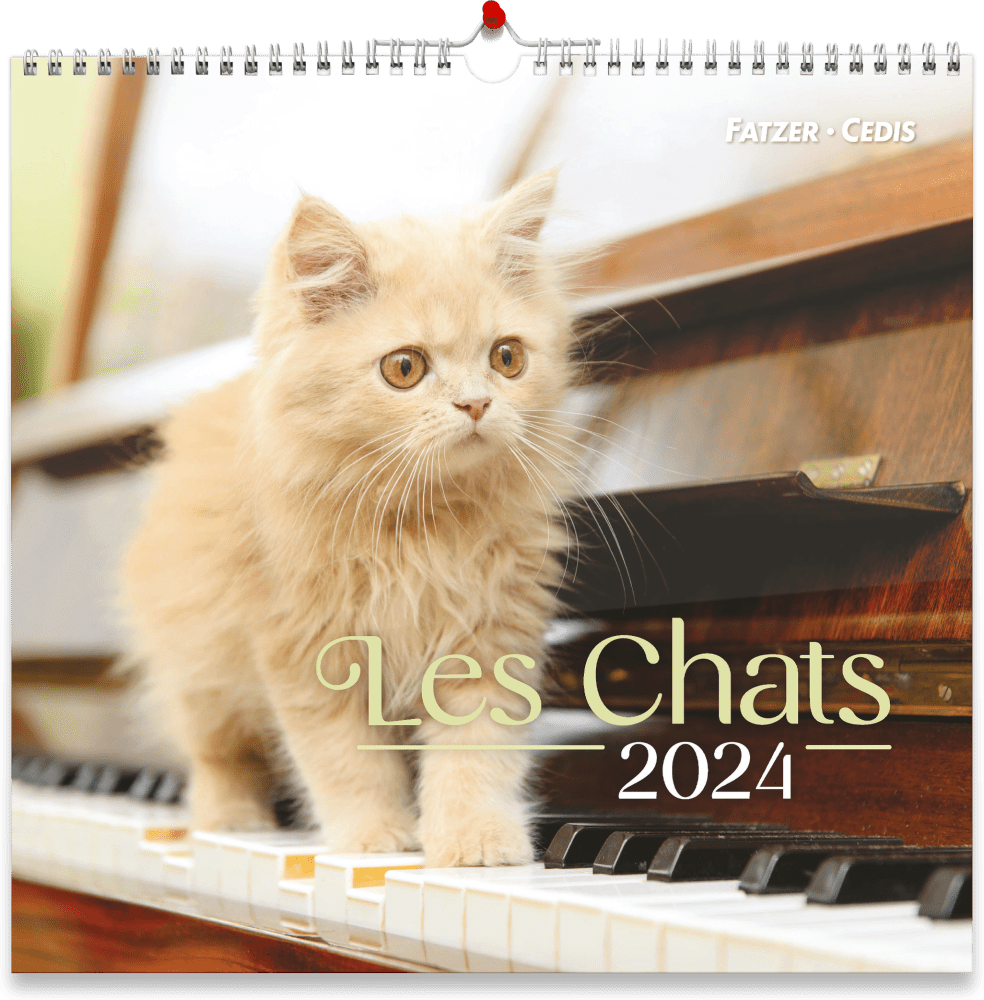 CALENDRIER NOS AMIS LES CHATS - GRAND FORMAT