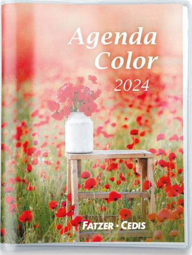 AGENDA COLOR