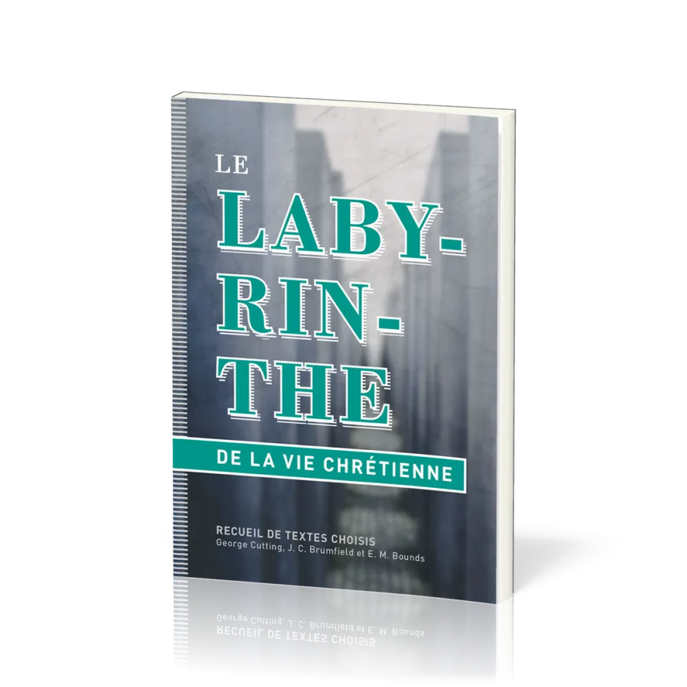 LABYRINTHE (LE) DE LA VIE CHRETIENNE - RECUEIL DE TEXTES CHOISIS