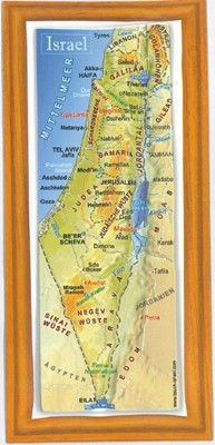 Carte en relief d'Israël grand format