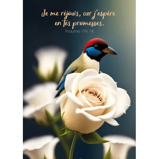 Carte postale Je me réjouis, car j'espère en tes promesses