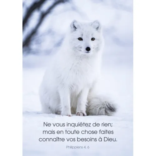 Carte renard blanc Phil 4:6