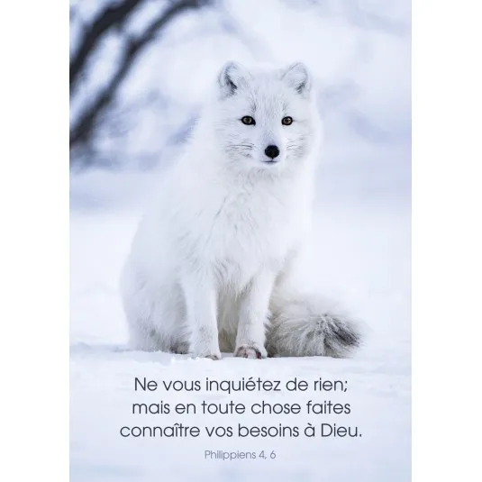 Carte renard blanc Phil 4:6