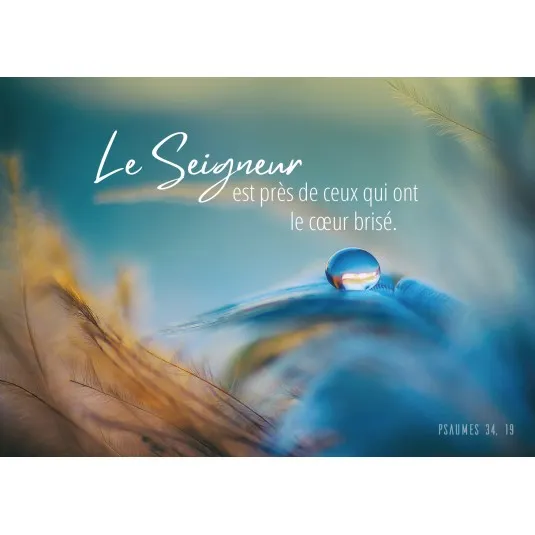 Carte postale goutte d'eau sur plume bleue Ps 34:19