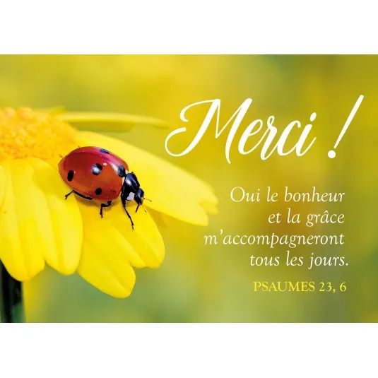 Carte postale Merci! Cocinelle sur fleur jaune PS 23:6