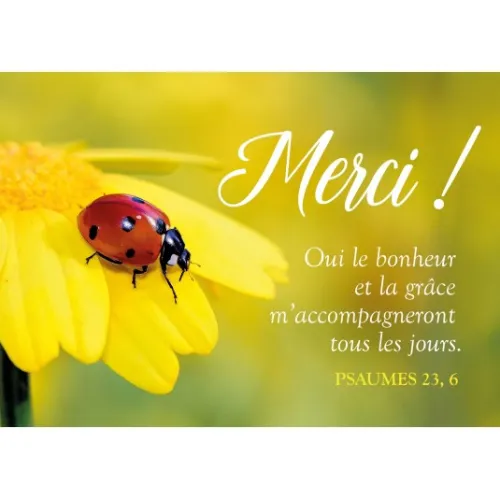 Carte postale Merci! Cocinelle sur fleur jaune PS 23:6