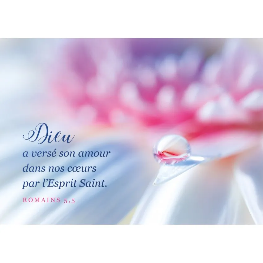 Carte postale avec verset - Goutte d'eau sur une pétale de fleur