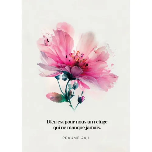 Carte postale fleurs colorées sur fond blanc PS 46:1