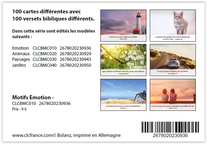 Lot de 100 Mini-cartes Emotion