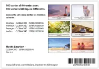 Lot de 100 Mini-cartes Emotion