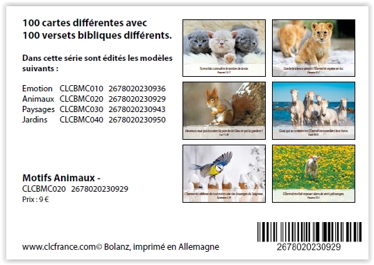 Lot de 100 Mini-cartes Animaux