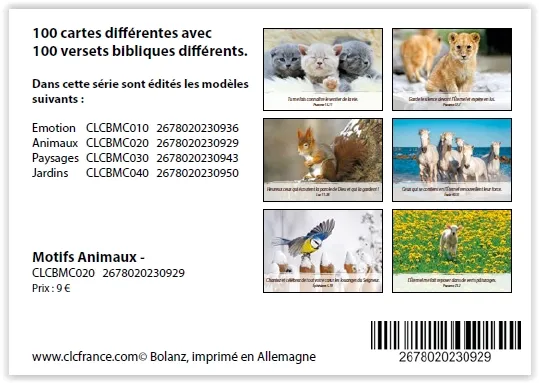 Lot de 100 Mini-cartes Animaux