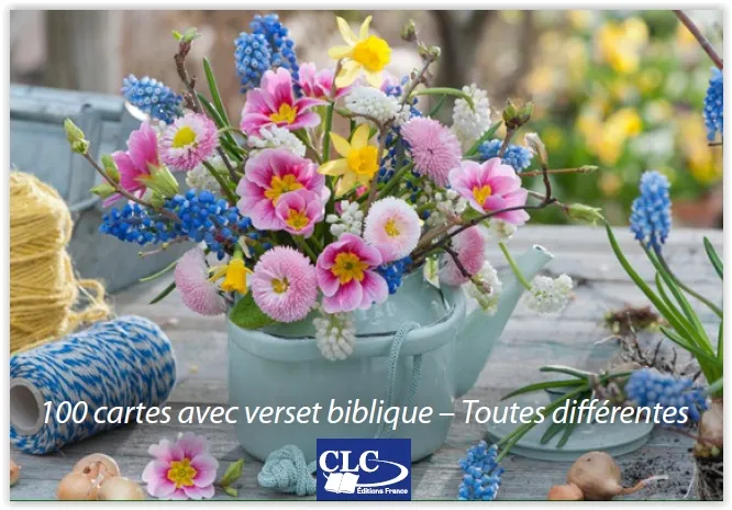 Lot de 100 Mini-cartes Jardins