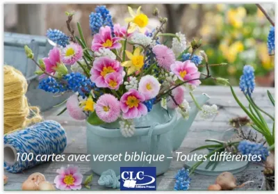 Lot de 100 Mini-cartes Jardins