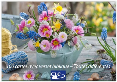 Lot de 100 Mini-cartes Jardins