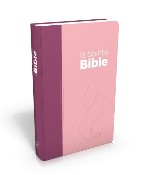 Bible Segond NEG compact, couverture souple, toile duo rose praline/violet fruits des bois