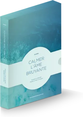 Calmer l'âme bruyante - surmonter la culpabilité, l'anxiété, la colère et le désespoir
