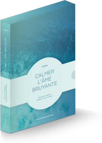 Calmer l'âme bruyante - surmonter la culpabilité, l'anxiété, la colère et le désespoir