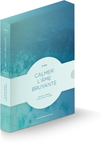 Calmer l'âme bruyante - surmonter la culpabilité, l'anxiété, la colère et le désespoir