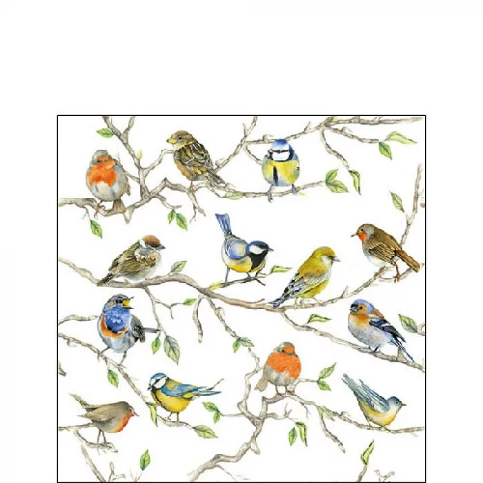 Serviette petite Réunion d'oiseaux