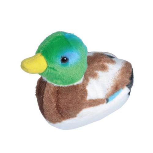 Peluche Col-vert avec son chant