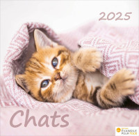 Calendrier chat merveille de la création