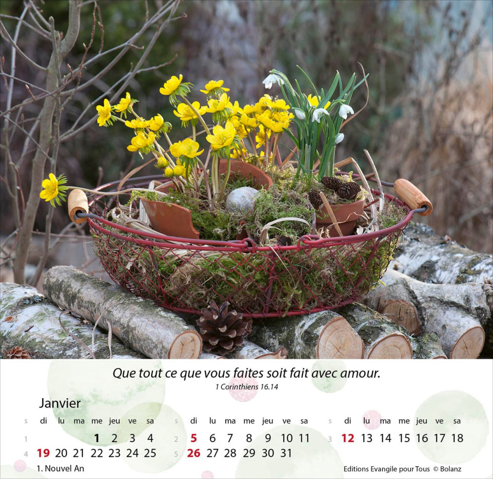 CALENDRIER JARDINS - MERVEILLES DE LA CREATION