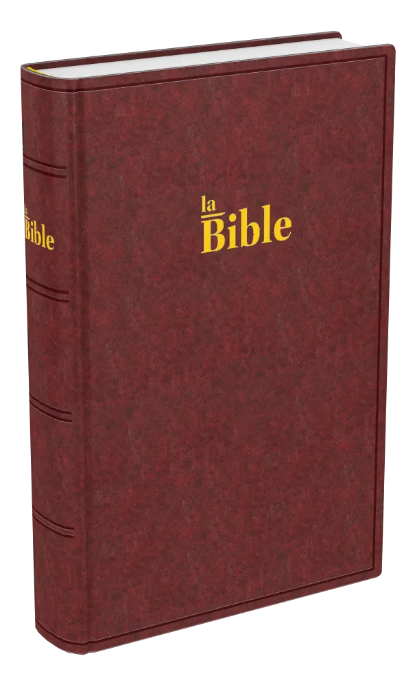 Bible Darby 2024 compact, rigide brun-rouge