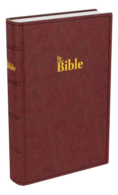Bible Darby 2024 compact, rigide brun-rouge