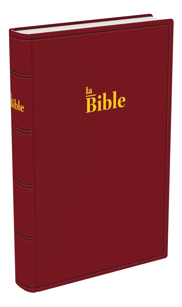 Bible Darby 2024, standar, rigide grenat