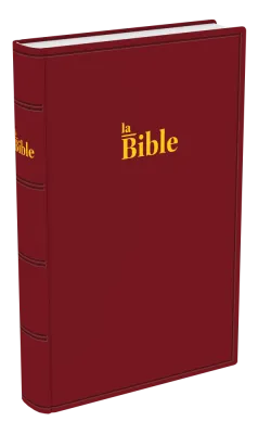 Bible Darby 2024, standar, rigide grenat
