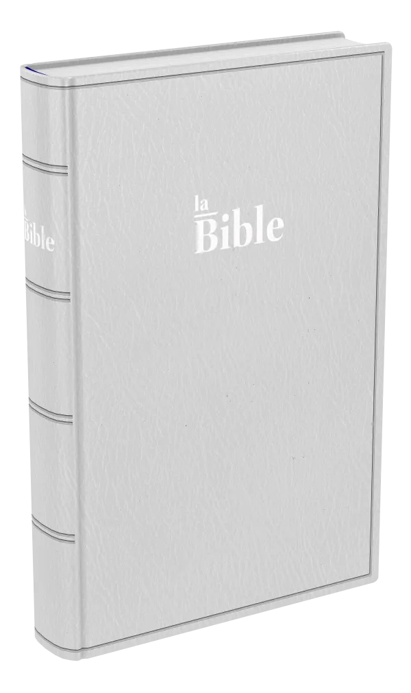 Bible Darby format standard souple - gris