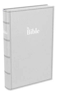 Bible Darby format standard souple - gris