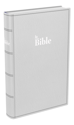 Bible Darby format standard souple - gris