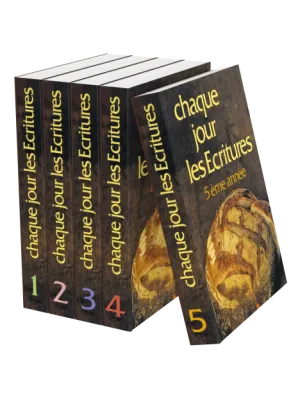 CHAQUE JOUR LES ECRITURES SERIE, BROCHEE