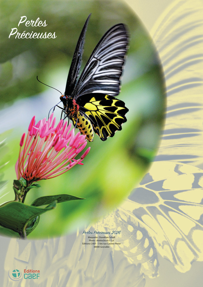 Calendrier Perles Précieuses - bloc à effeuiller et plaque