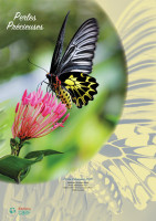 Calendrier Perles Précieuses - bloc à effeuiller et plaque