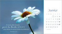 CALENDRIER LES FLEURS - AVEC VERSETS