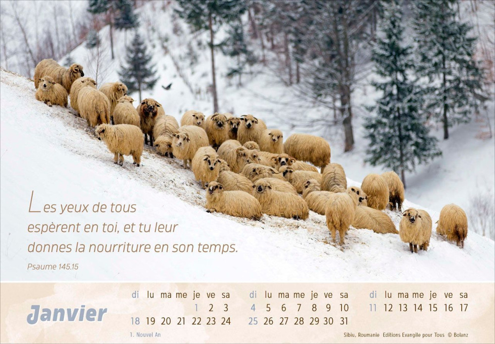 CALENDRIER LE BON BERGER