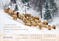 CALENDRIER LE BON BERGER