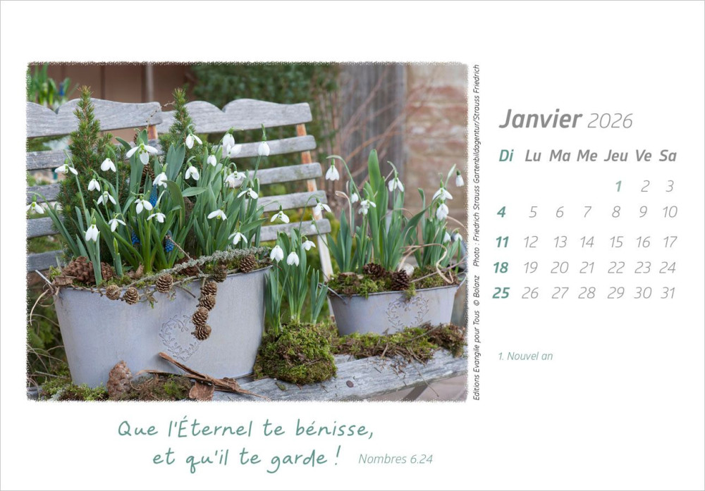 CALENDRIER DELICES