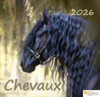 CALENDRIER CHEVAUX - MERVEILLES DE LA CREATION