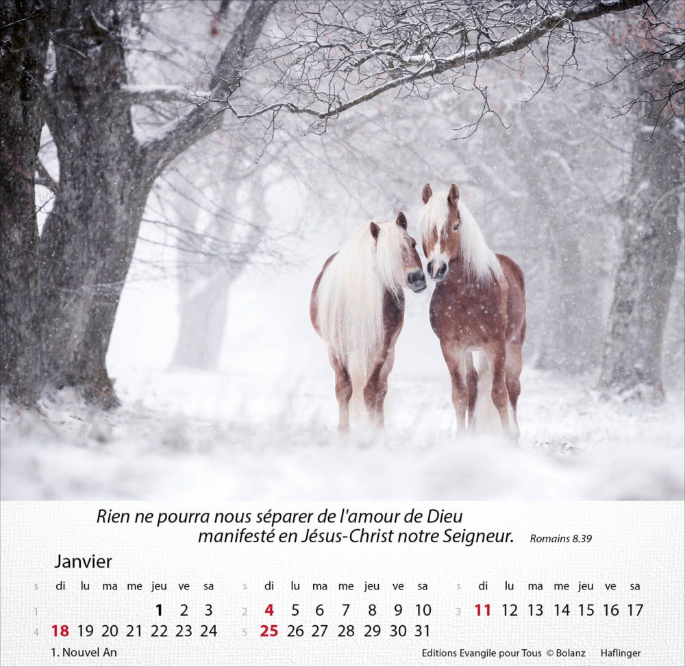 CALENDRIER CHEVAUX - MERVEILLES DE LA CREATION